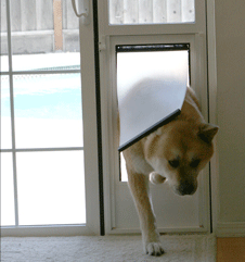 Patio dog door problem solved for you and Lassie