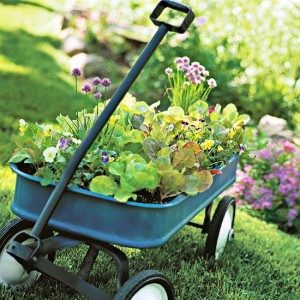 Tools To Use For Vegetable Gardening
